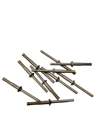 RIVET ALT: NAS1398D4A5